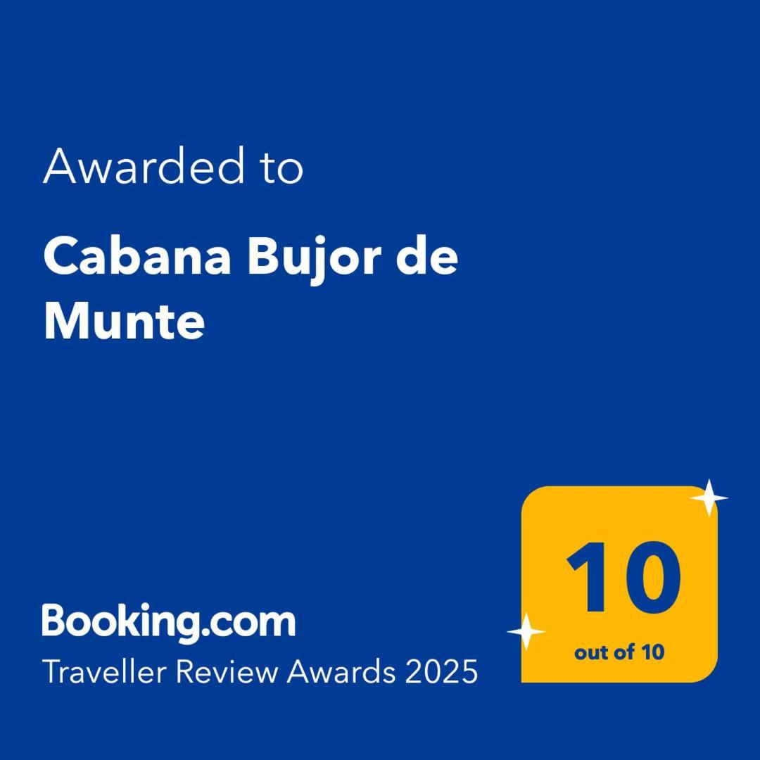 Cabana Bujor De Munte Râşnov Exterior photo